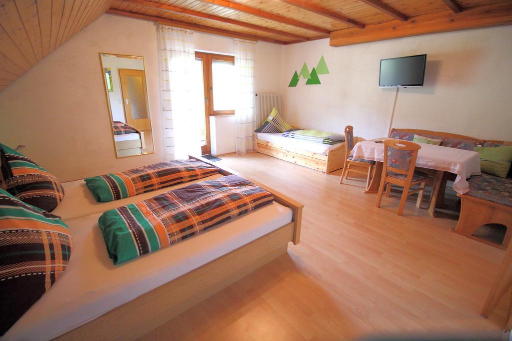 Pension Altvogtshof アイゼンバッハ 部屋 写真