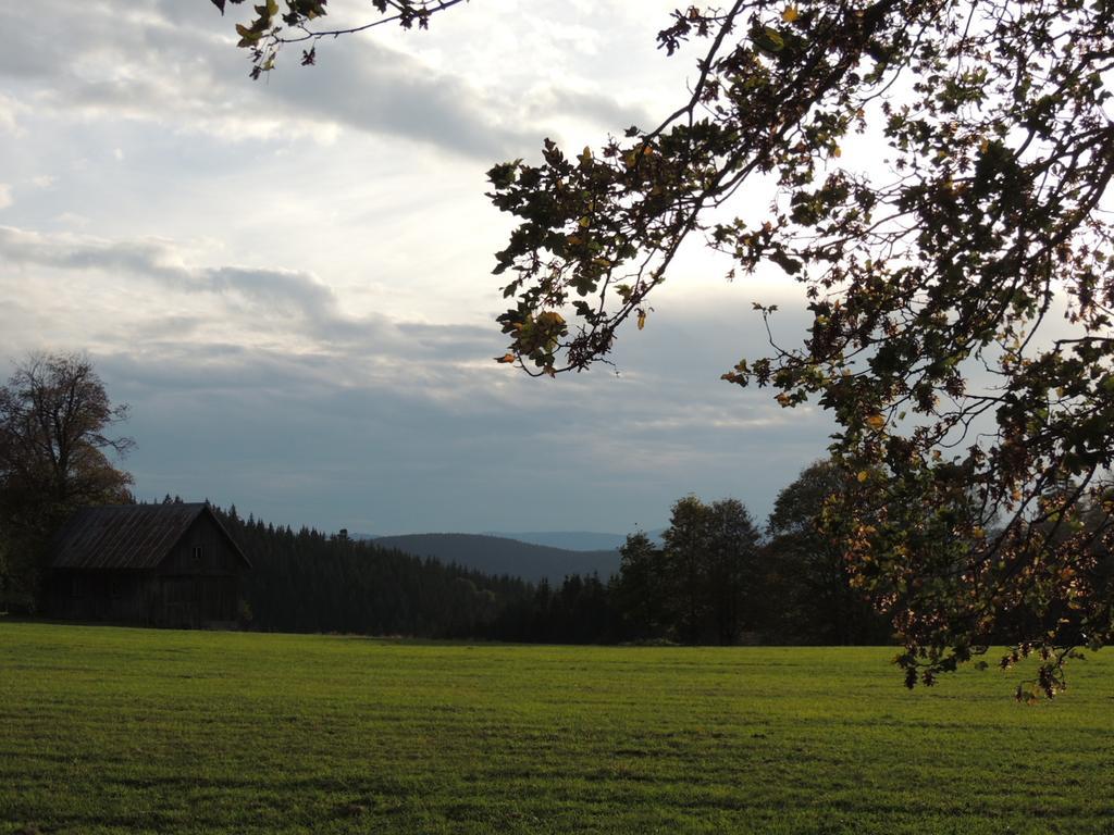 Pension Altvogtshof アイゼンバッハ エクステリア 写真