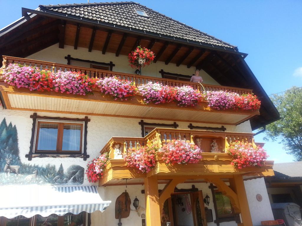 Pension Altvogtshof アイゼンバッハ エクステリア 写真